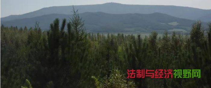 锅盔山东北抗联密营 挺起不屈的民族脊梁