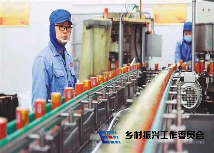 1708953553176586.jpg 1.jpg