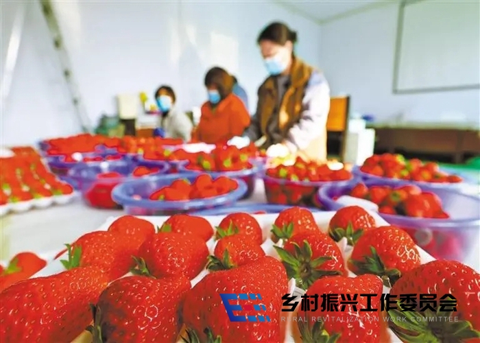 1708953571287021.jpg 3.jpg