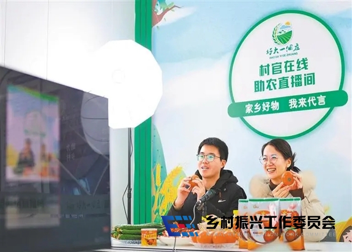 1708953582945872.jpg 4.jpg