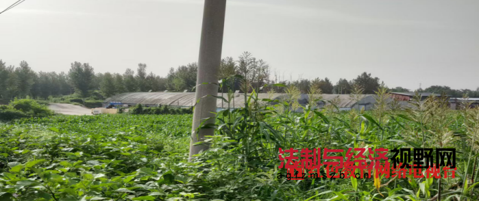 1726009831706509.png 1724744175174312.png