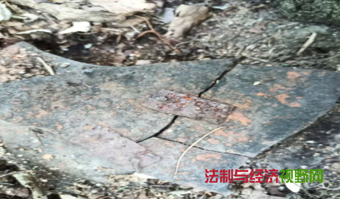 1755766642619474.png QQ_1755766063096.png