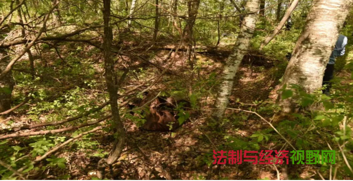 1755766677503604.png QQ_1755766101463.png