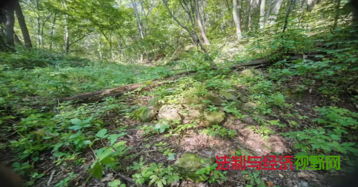 1755766703746960.png QQ_1755766467646.png